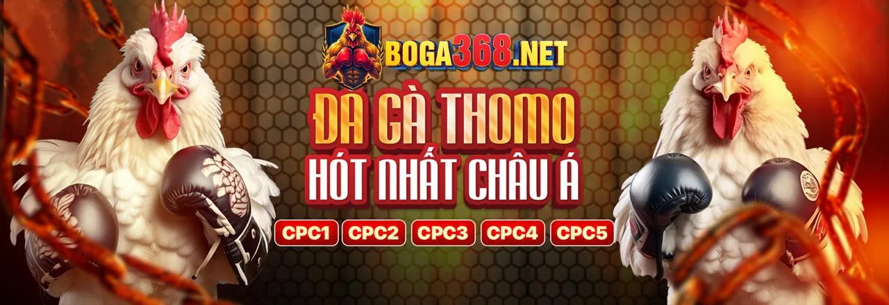 Giới thiệu về chương trình VIP 68win11